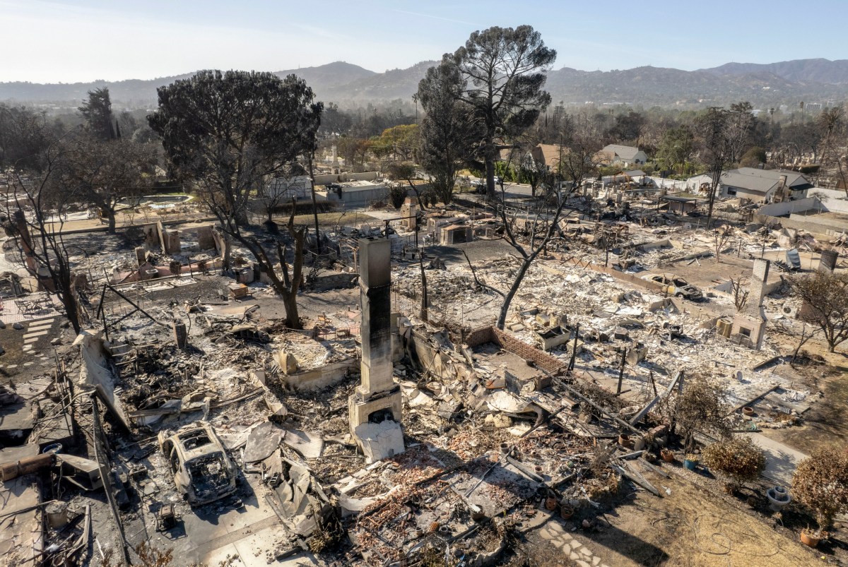 The Los Angeles Wildfires And The Growing Market For Disaster Betting The Los Angeles Wildfires And The Growing Market For Disaster Betting