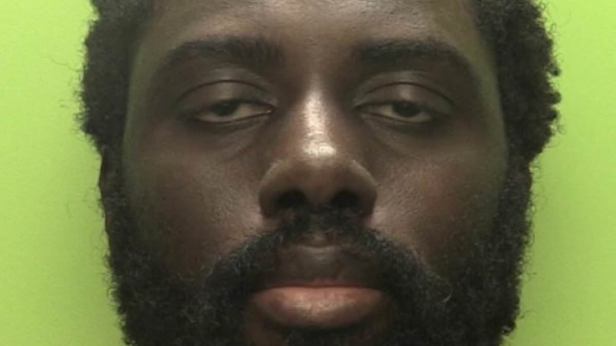 The Perception Of Mentally Ill Killers: Why We Fail The Perception Of Mentally Ill Killers: Why We Fail