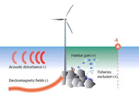 The Rising Cost Of Offshore Wind: Impact On Investment The Rising Cost Of Offshore Wind: Impact On Investment