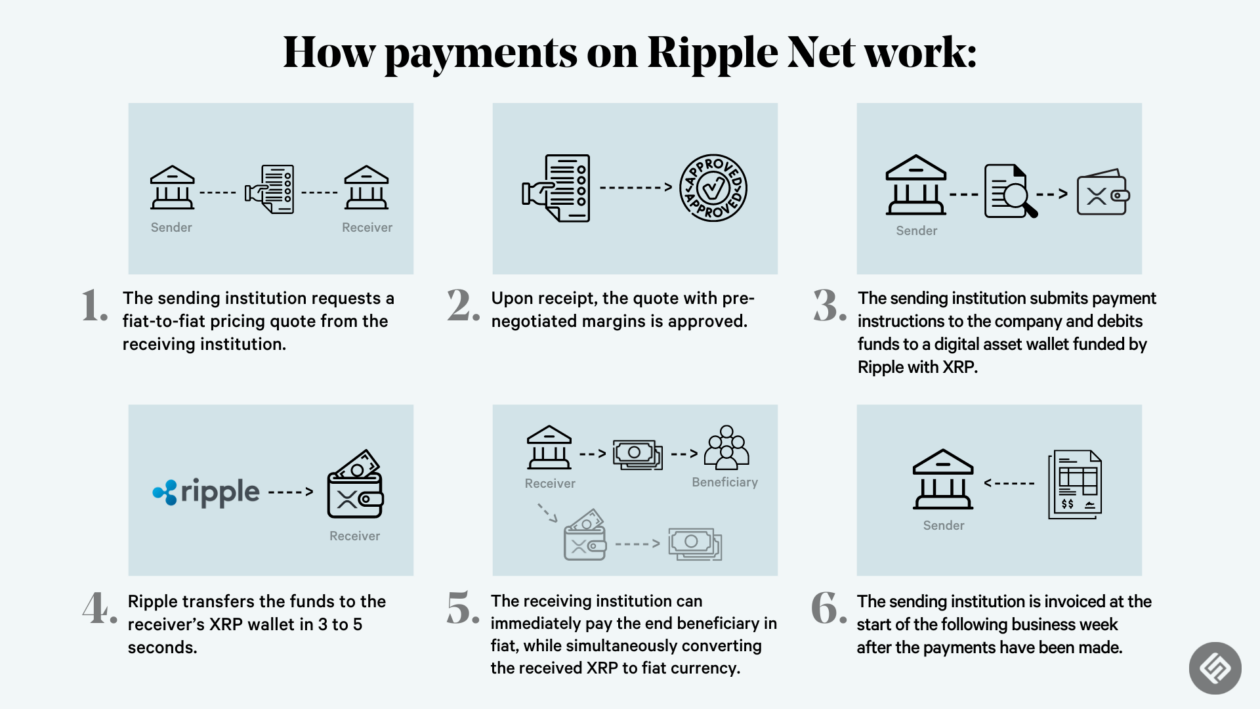 The Risks And Rewards Of Investing In XRP (Ripple) The Risks And Rewards Of Investing In XRP (Ripple)
