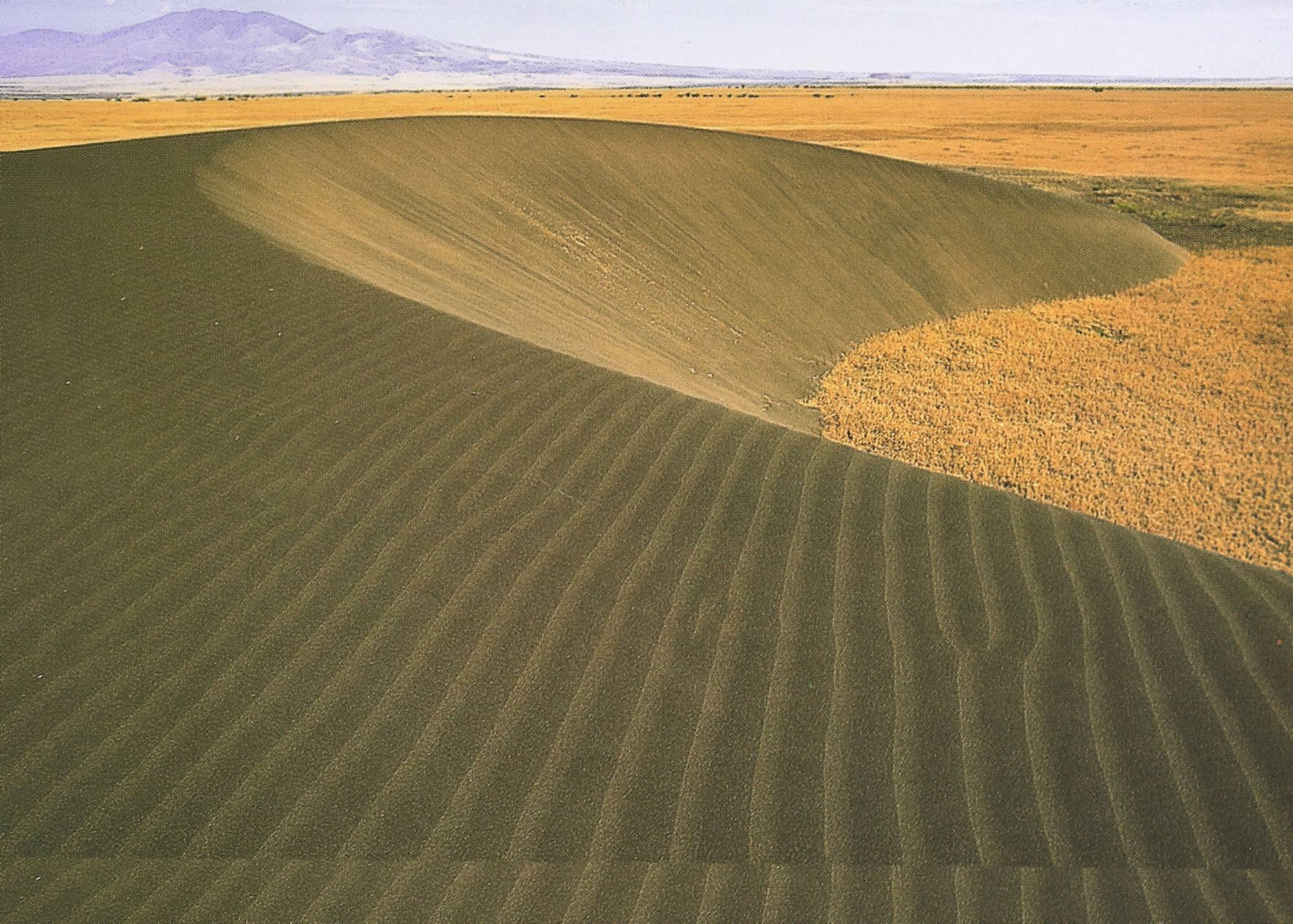 The Shifting Sands Of The Chinese Auto Industry: Case Studies Of BMW And Porsche The Shifting Sands Of The Chinese Auto Industry: Case Studies Of BMW And Porsche