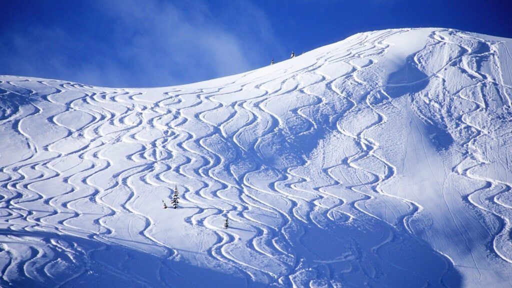 The Truth About Chalet Girls: Serving Europe's Wealthy Skiers The Truth About Chalet Girls: Serving Europe's Wealthy Skiers