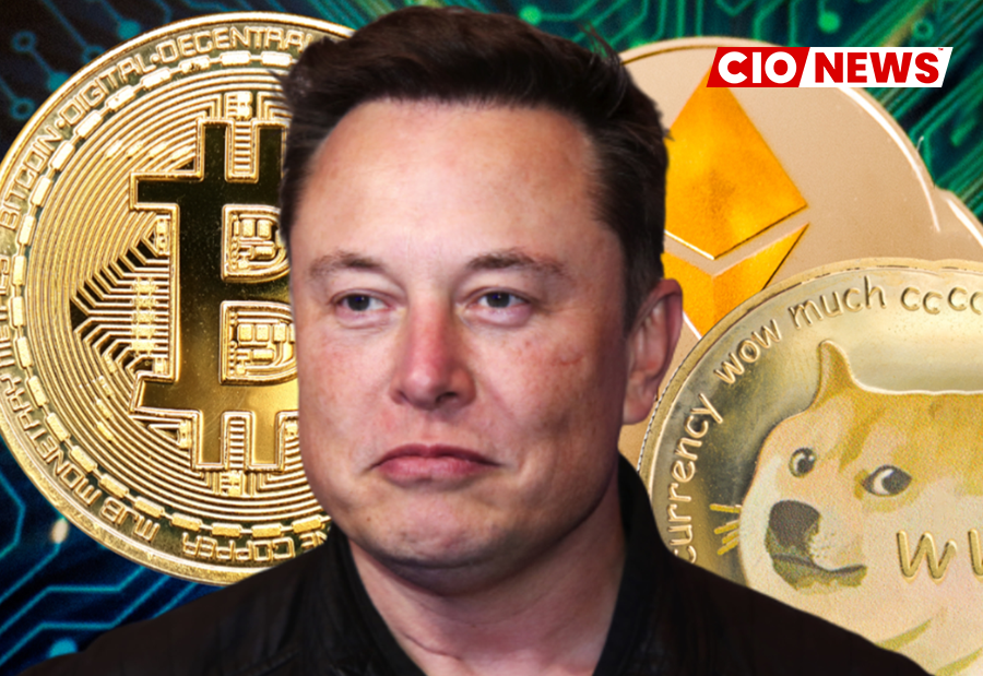 The Truth About Elon Musk's Dogecoin Holdings