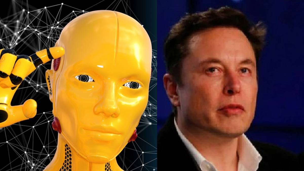 The Truth About Elon Musk's Family Fortune: Years Of Hard Work And Perseverance The Truth About Elon Musk's Family Fortune: Years Of Hard Work And Perseverance