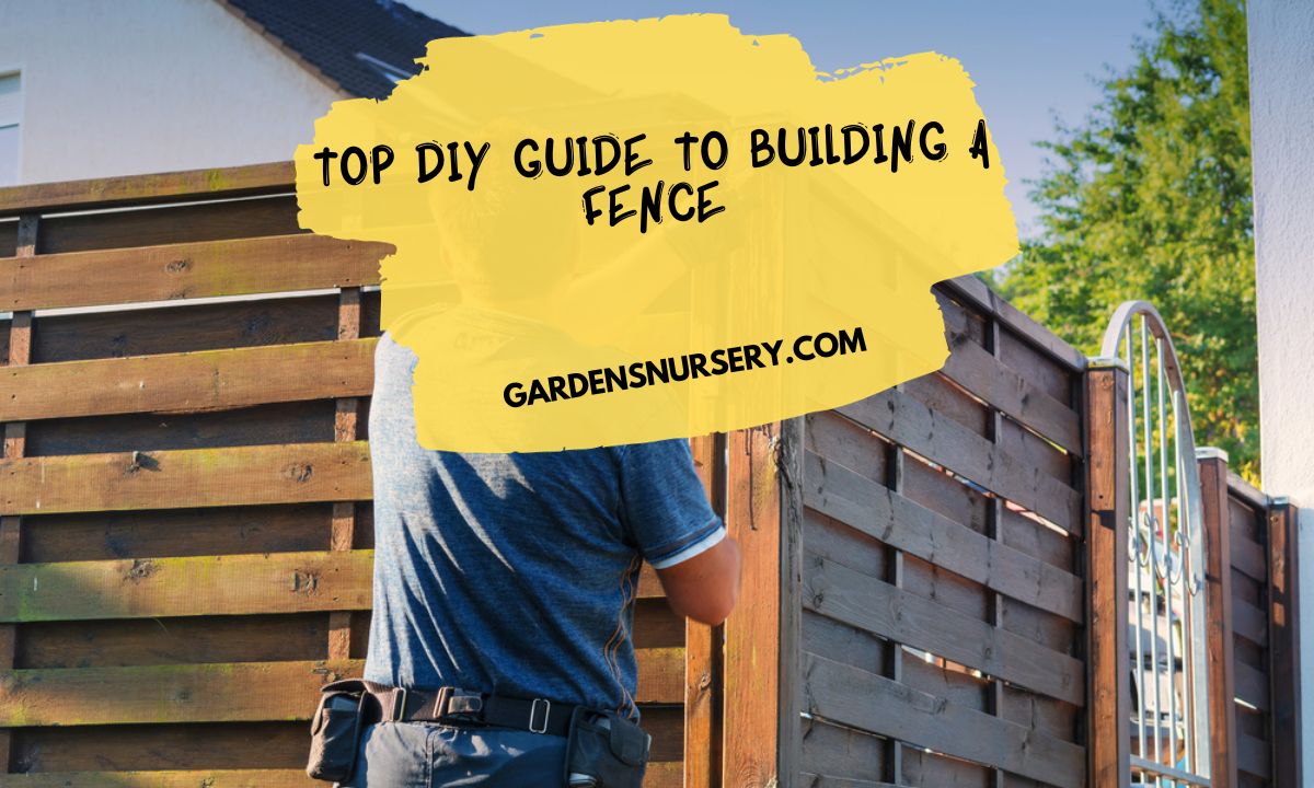 The Ultimate Guide To Building A Living Fence The Ultimate Guide To Building A Living Fence