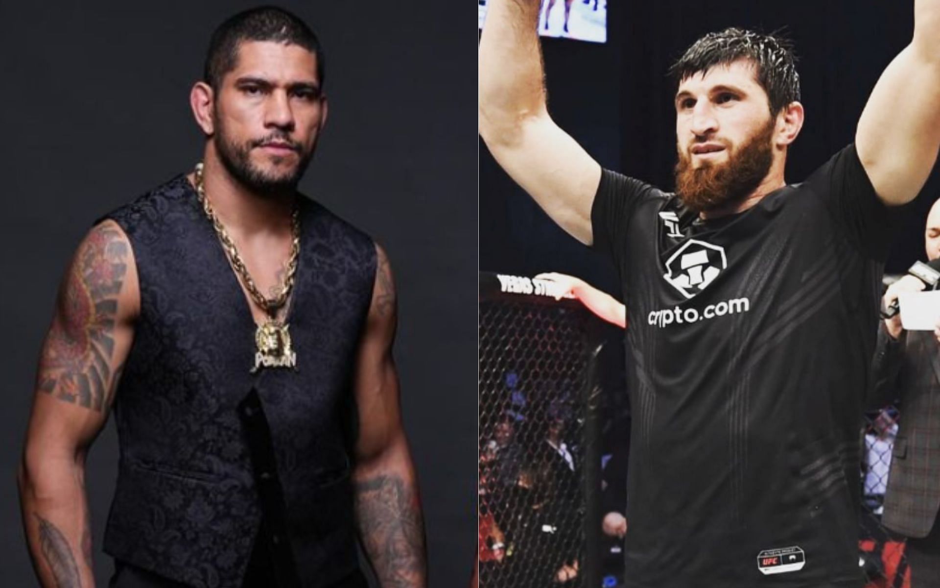 This Weekend's UFC 313: Alex Pereira And Magomed Ankalaev Clash This Weekend's UFC 313: Alex Pereira And Magomed Ankalaev Clash
