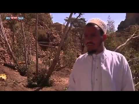تحليل نداء الحجيلان: هل من الممكن يمن بلا دماء؟ تحليل نداء الحجيلان: هل من الممكن يمن بلا دماء؟