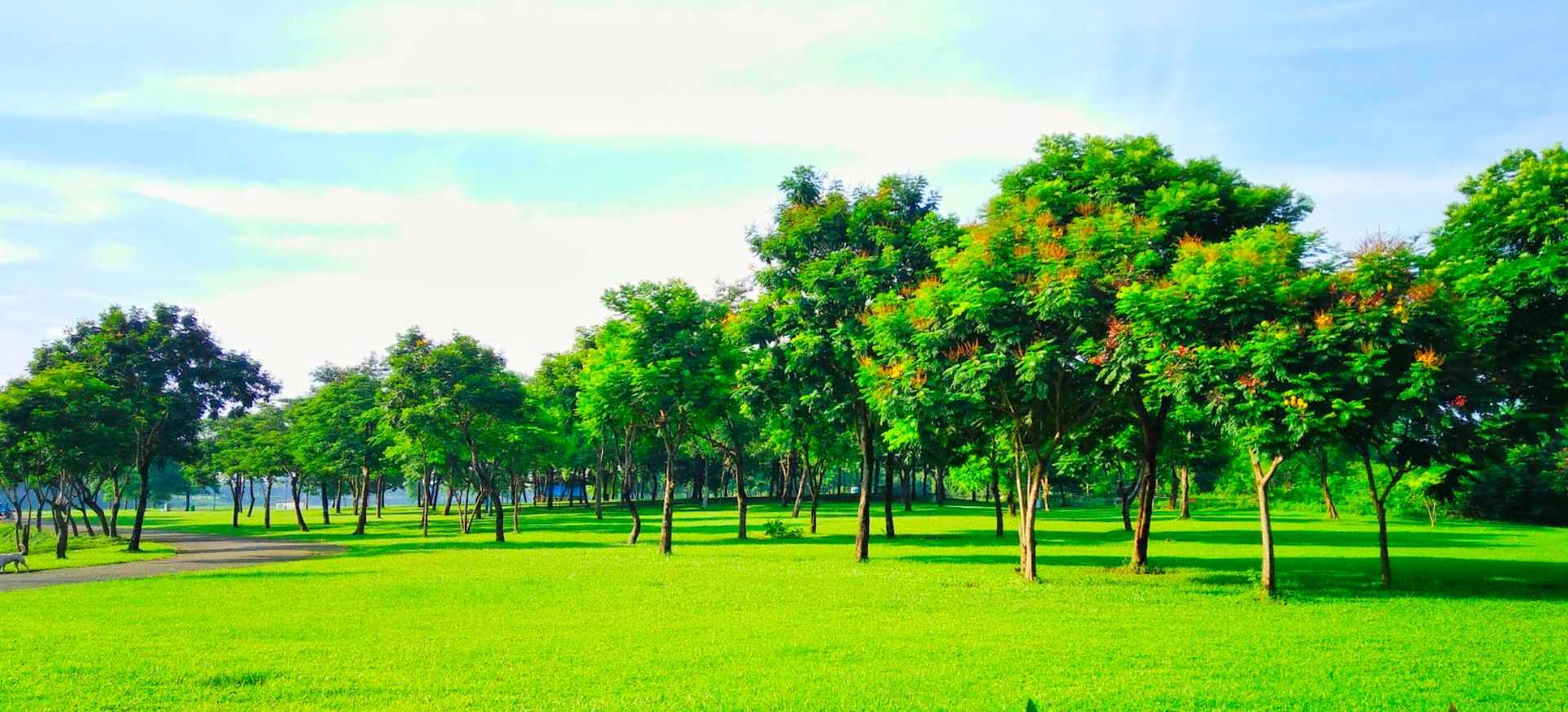 Thủ Thiêm: Khám Phá Phối Cảnh Công Viên Điện Ảnh Ven Sông Thủ Thiêm: Khám Phá Phối Cảnh Công Viên Điện Ảnh Ven Sông