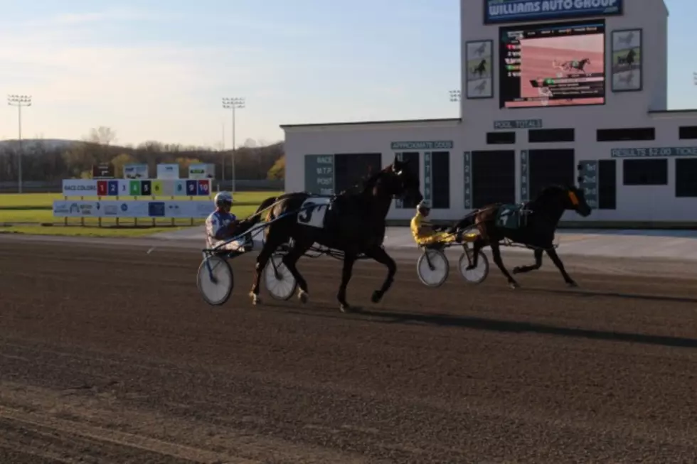 Tioga Downs' 2025 Racing Season: What To Expect Tioga Downs' 2025 Racing Season: What To Expect