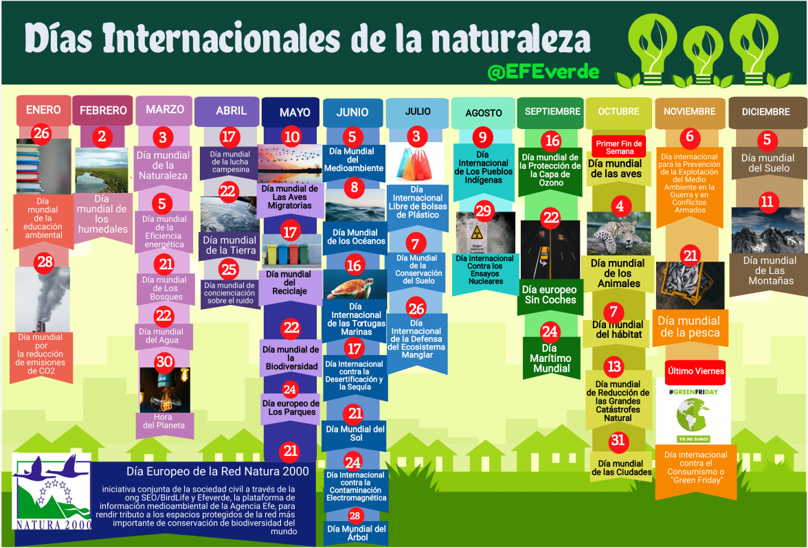 Todo Sobre Eurovisión 2025: Fechas Importantes Y Información Crucial Todo Sobre Eurovisión 2025: Fechas Importantes Y Información Crucial