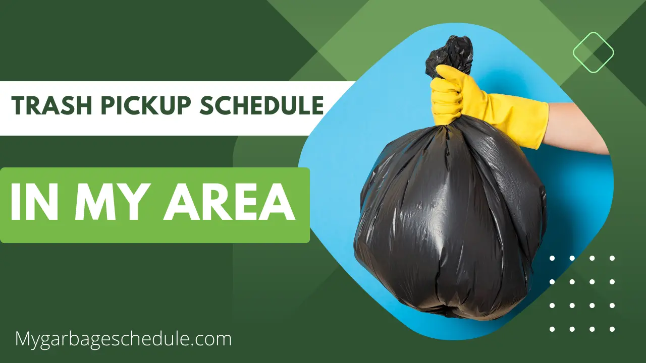 Trash Pickup And School Closures: Friday's Winter Weather Impact Trash Pickup And School Closures: Friday's Winter Weather Impact