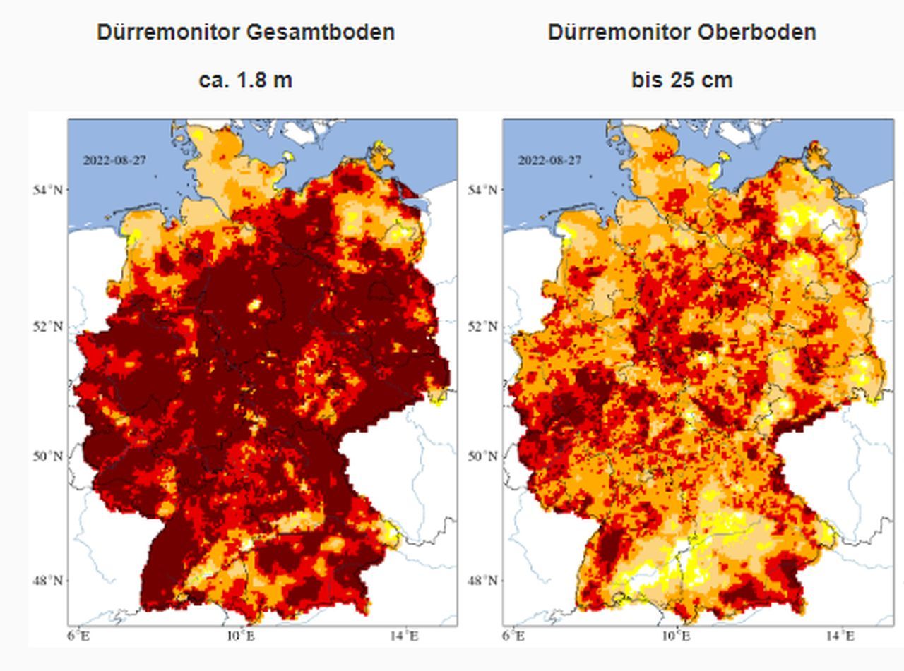 Trockenheit In Deutschland: Regen Bringt Nur Punktuelle Entlastung Trockenheit In Deutschland: Regen Bringt Nur Punktuelle Entlastung