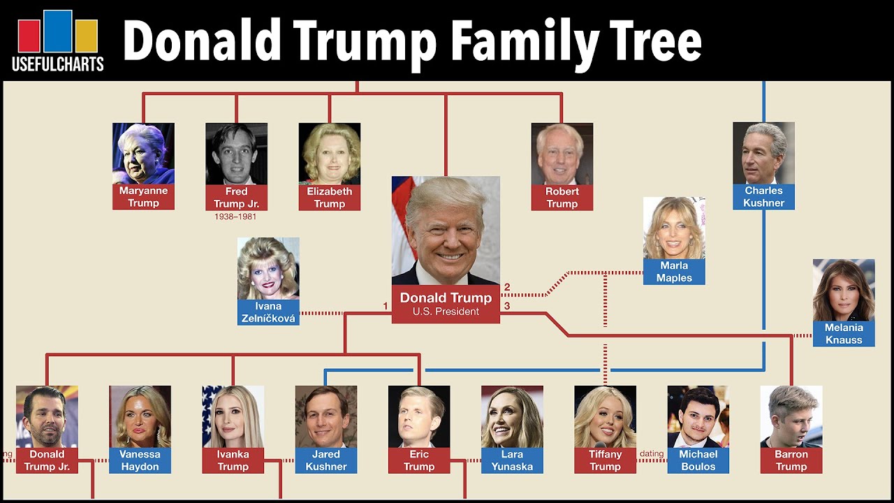 Trump Family Tree: Exploring The Extensive Lineage Of The Former President Trump Family Tree: Exploring The Extensive Lineage Of The Former President