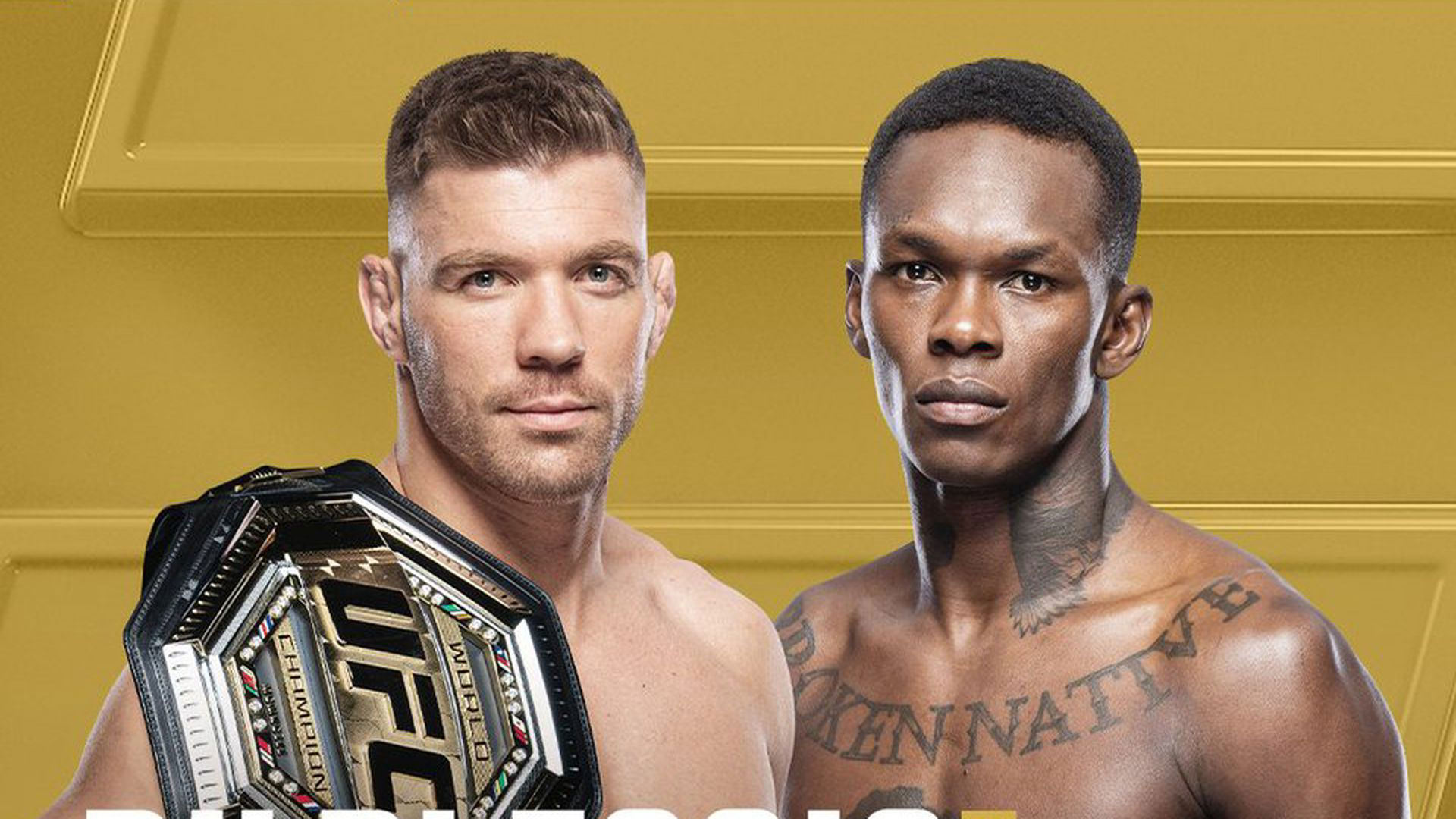 UFC 315 And The Full May 2025 UFC Fight Card Schedule UFC 315 And The Full May 2025 UFC Fight Card Schedule