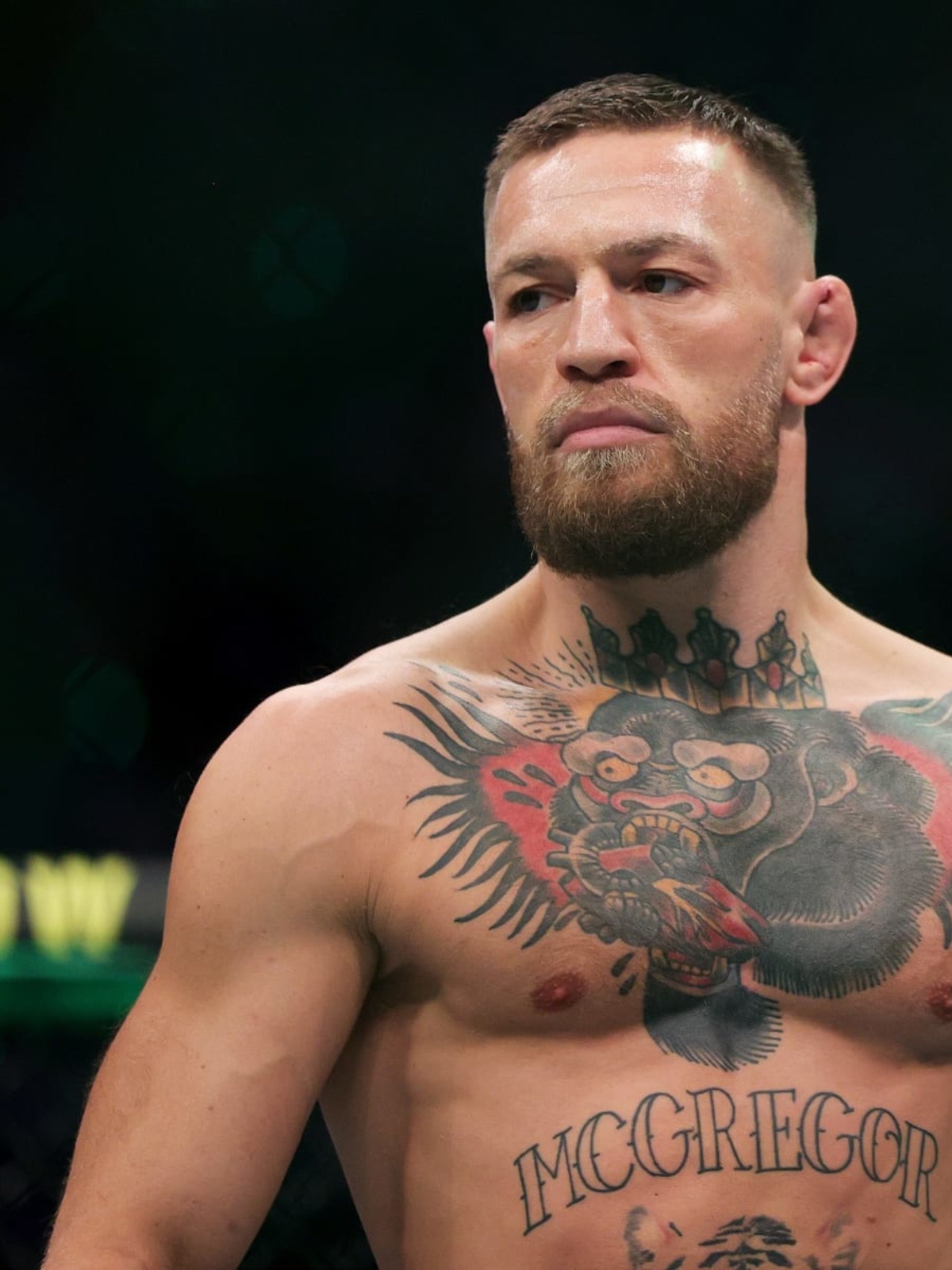 UFC Bogeyman: Controversial KO Of McGregor Sparring Partner In Seven-Fight Run UFC Bogeyman: Controversial KO Of McGregor Sparring Partner In Seven-Fight Run