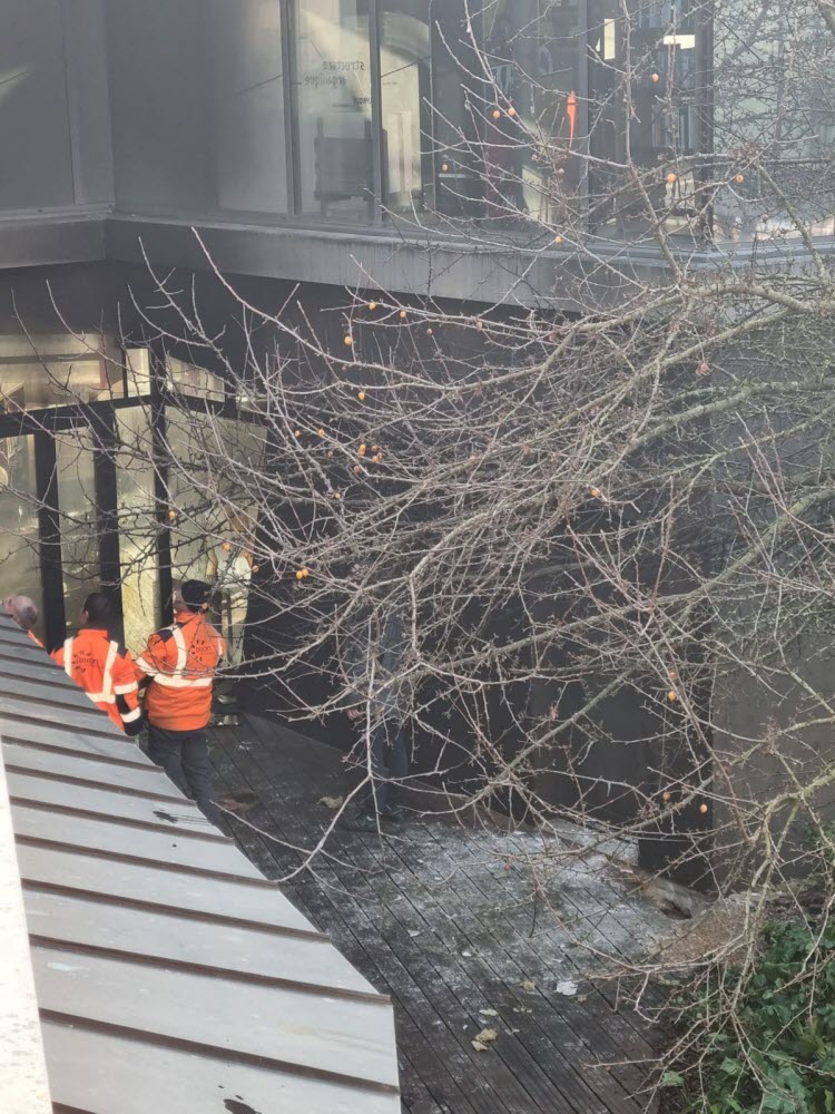Un Début D'incendie Mobilise Les Secours À La Médiathèque Champollion À Dijon Un Début D'incendie Mobilise Les Secours À La Médiathèque Champollion À Dijon