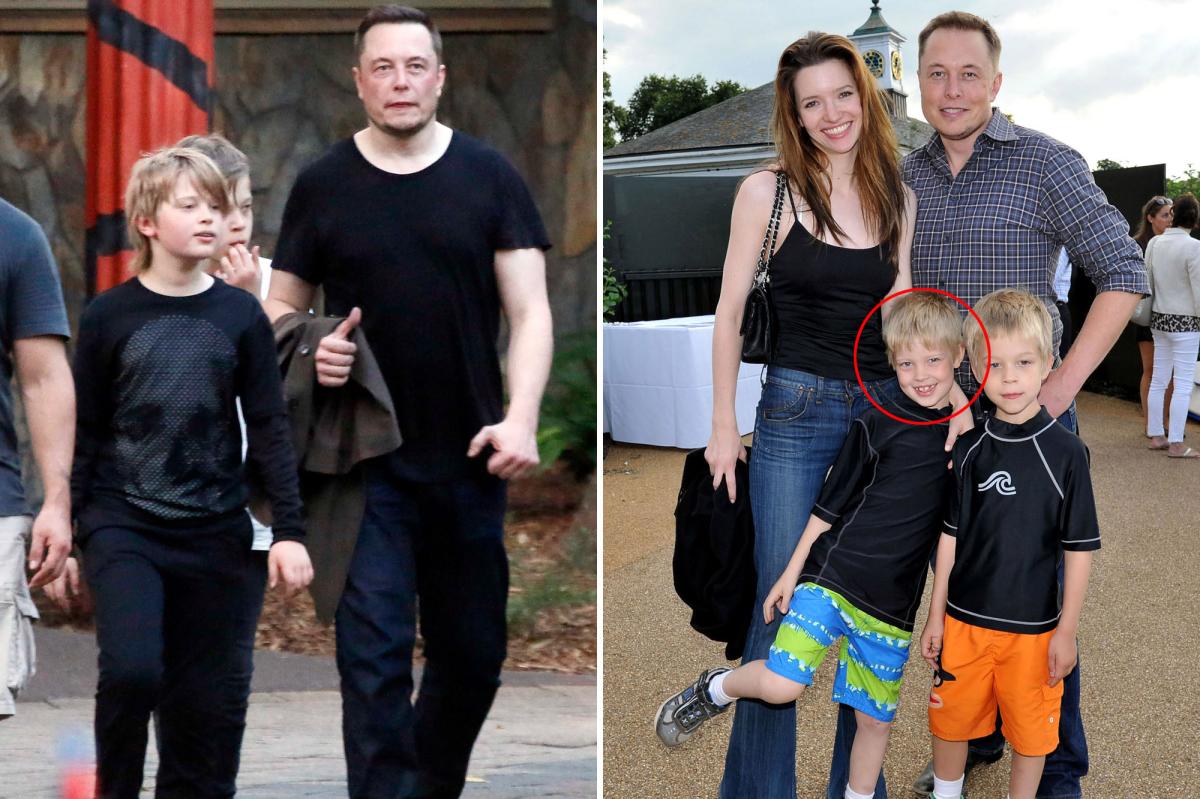 Understanding Elon Musk's Family's Financial Success: A Look At Maye Musk's Perspective Understanding Elon Musk's Family's Financial Success: A Look At Maye Musk's Perspective