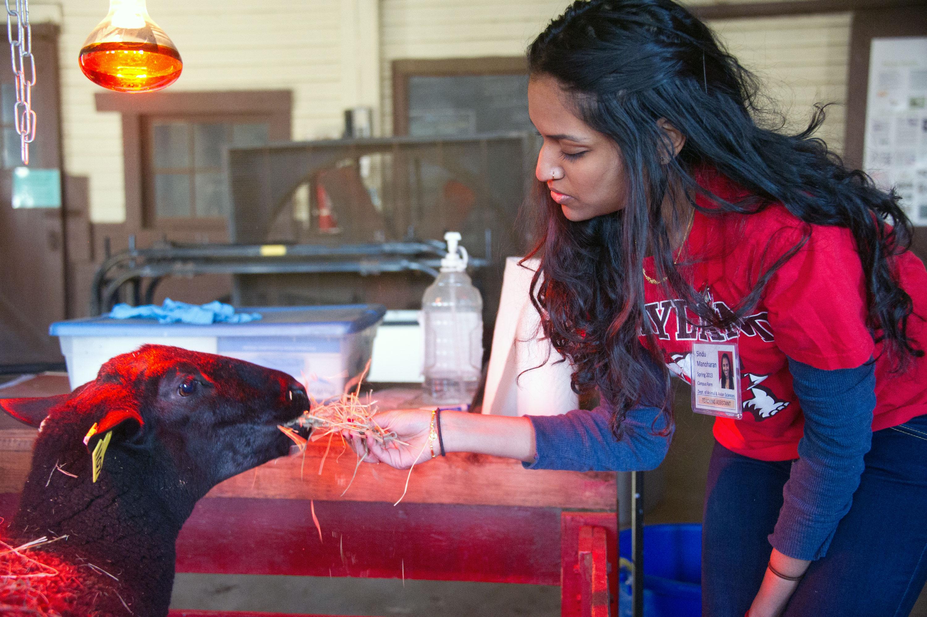 Understanding Life Cycles Through Campus Farm Animal Observation Understanding Life Cycles Through Campus Farm Animal Observation