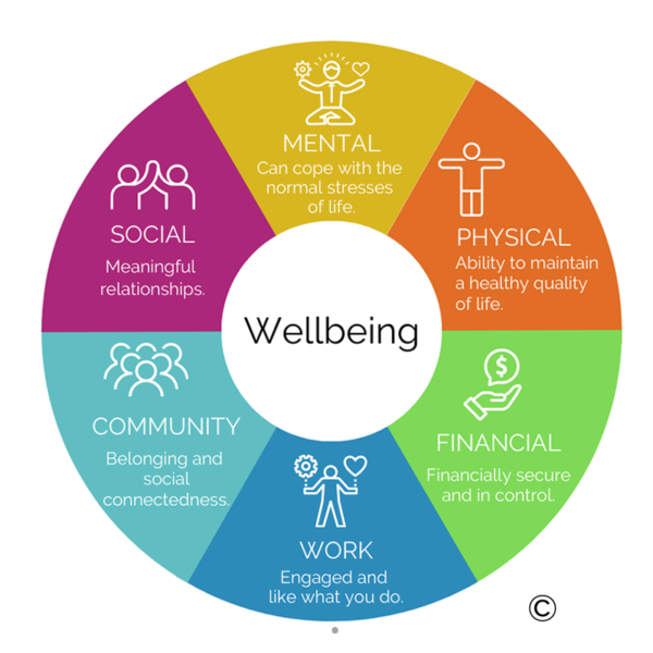 Understanding The Good Life:  Purpose, Meaning, And Wellbeing