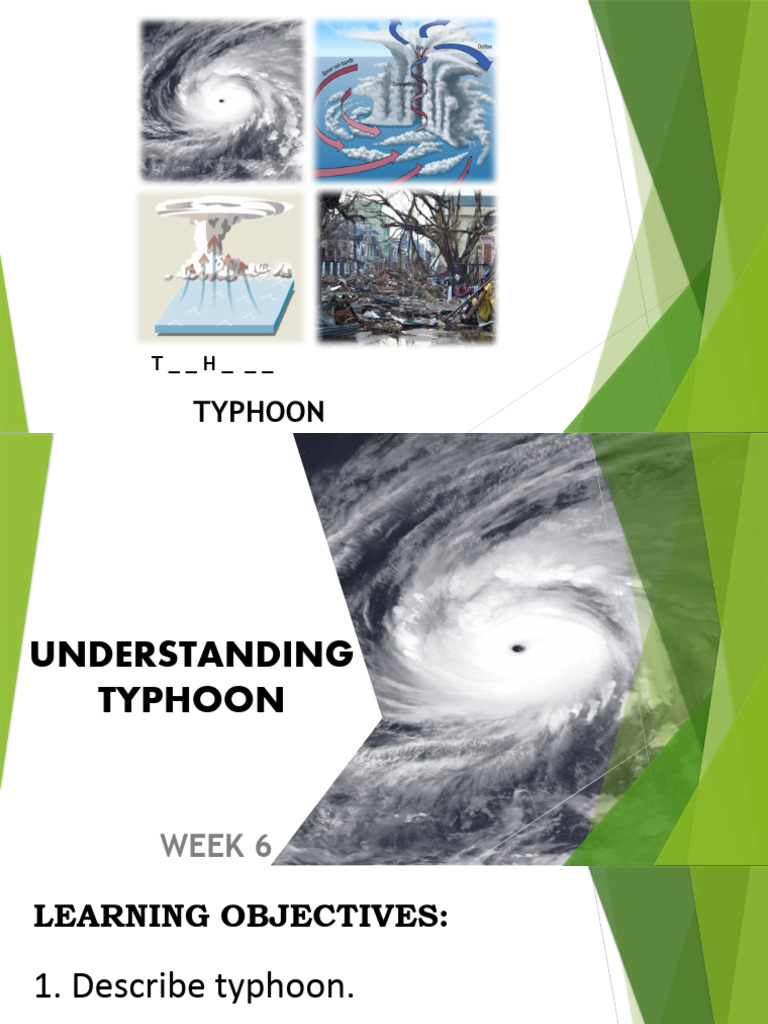 Understanding The Musical Style Of Russell & The Typhoons Understanding The Musical Style Of Russell & The Typhoons