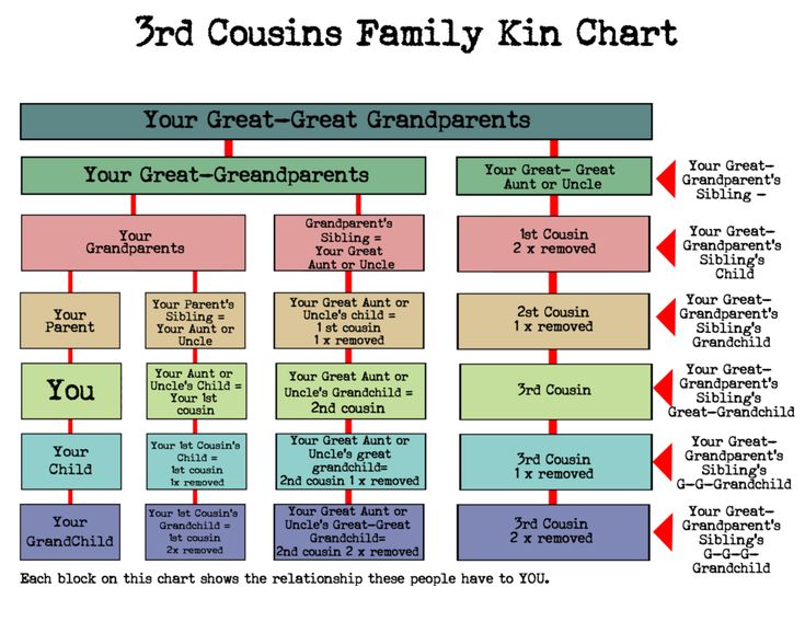 Understanding The Trump Family: Genealogy And Relationships Understanding The Trump Family: Genealogy And Relationships