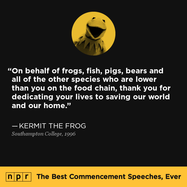University Of Maryland Commencement Speaker 2024: Kermit The Frog University Of Maryland Commencement Speaker 2024: Kermit The Frog