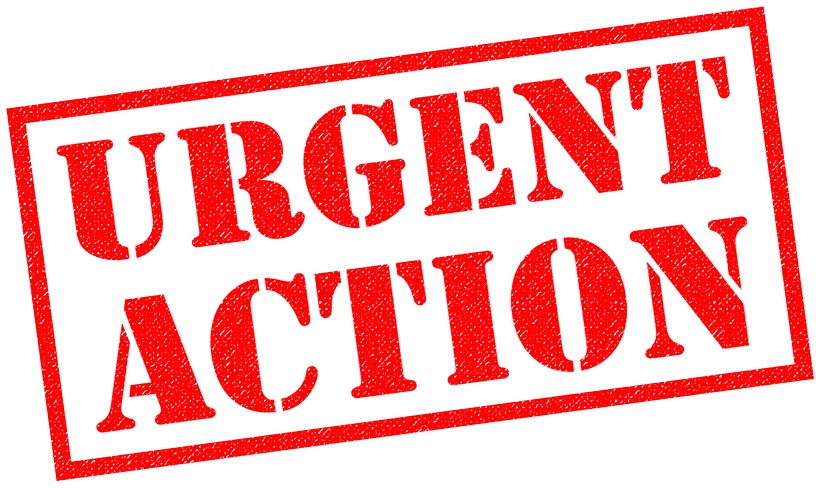 Urgent Action Needed: Katsina's Kankara-Dutsin-Ma Road Inaccessible Due To Bandit Activity Urgent Action Needed: Katsina's Kankara-Dutsin-Ma Road Inaccessible Due To Bandit Activity