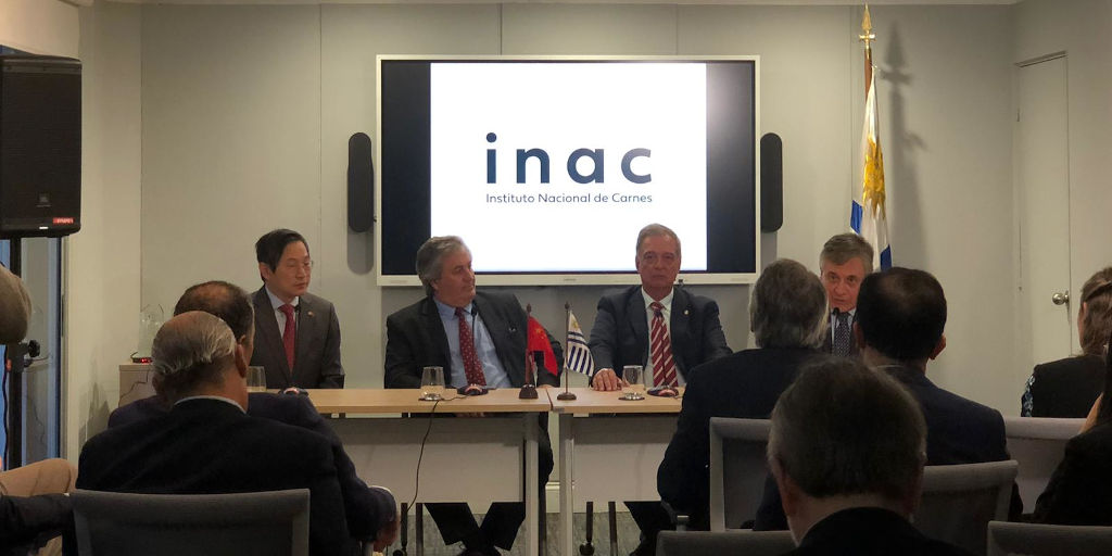 Uruguay Envía Tres Toros A China Como Obsequio Al Presidente Xi Uruguay Envía Tres Toros A China Como Obsequio Al Presidente Xi