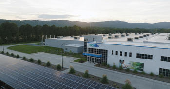 US Imposes Massive Tariffs On Southeast Asian Solar Imports: Up To 3,521% Duties US Imposes Massive Tariffs On Southeast Asian Solar Imports: Up To 3,521% Duties