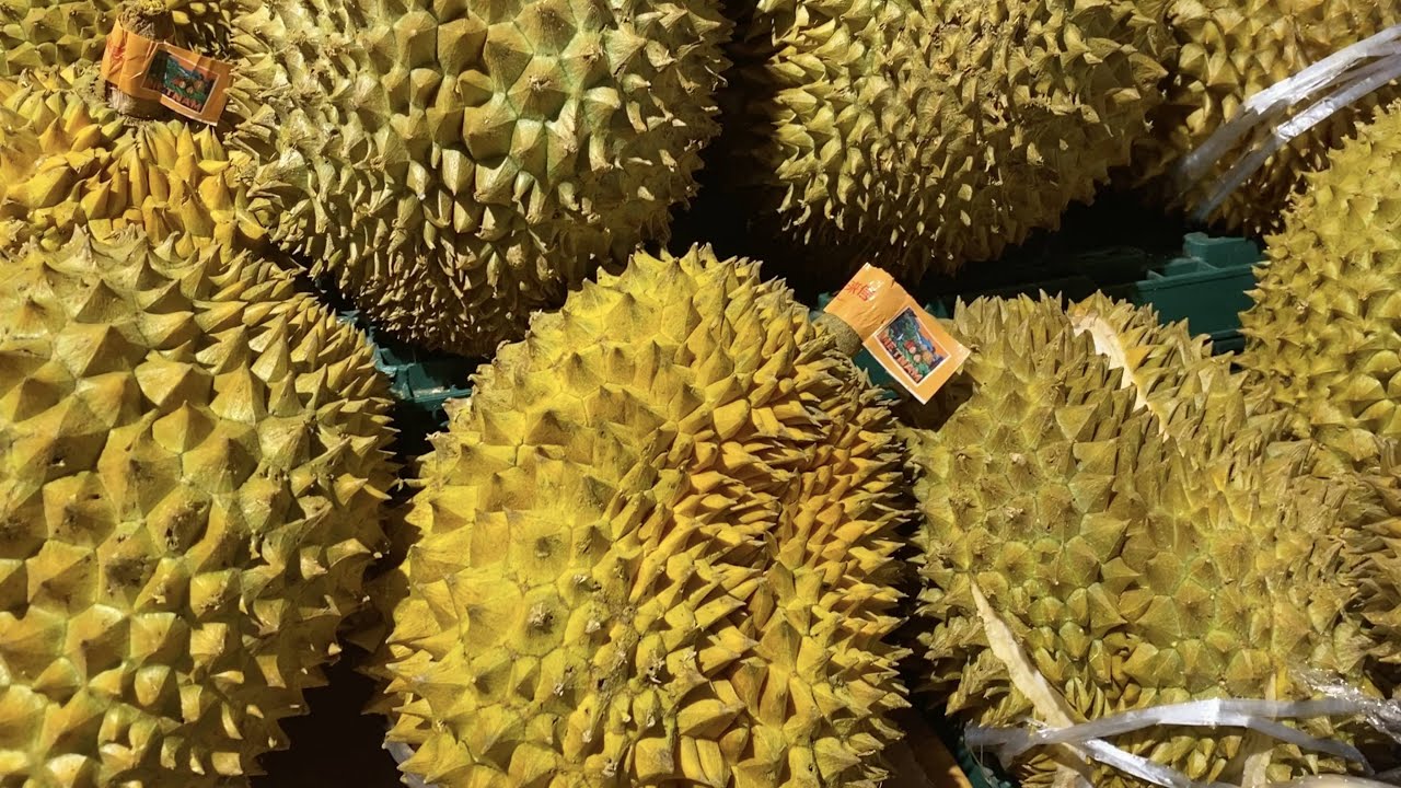US Solar Panel Tariffs: The Impact On Southeast Asian Producers US Solar Panel Tariffs: The Impact On Southeast Asian Producers