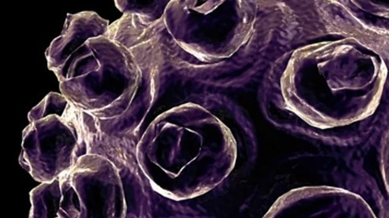 US Vaccine Safety Under The Microscope: The Measles Epidemic Response US Vaccine Safety Under The Microscope: The Measles Epidemic Response