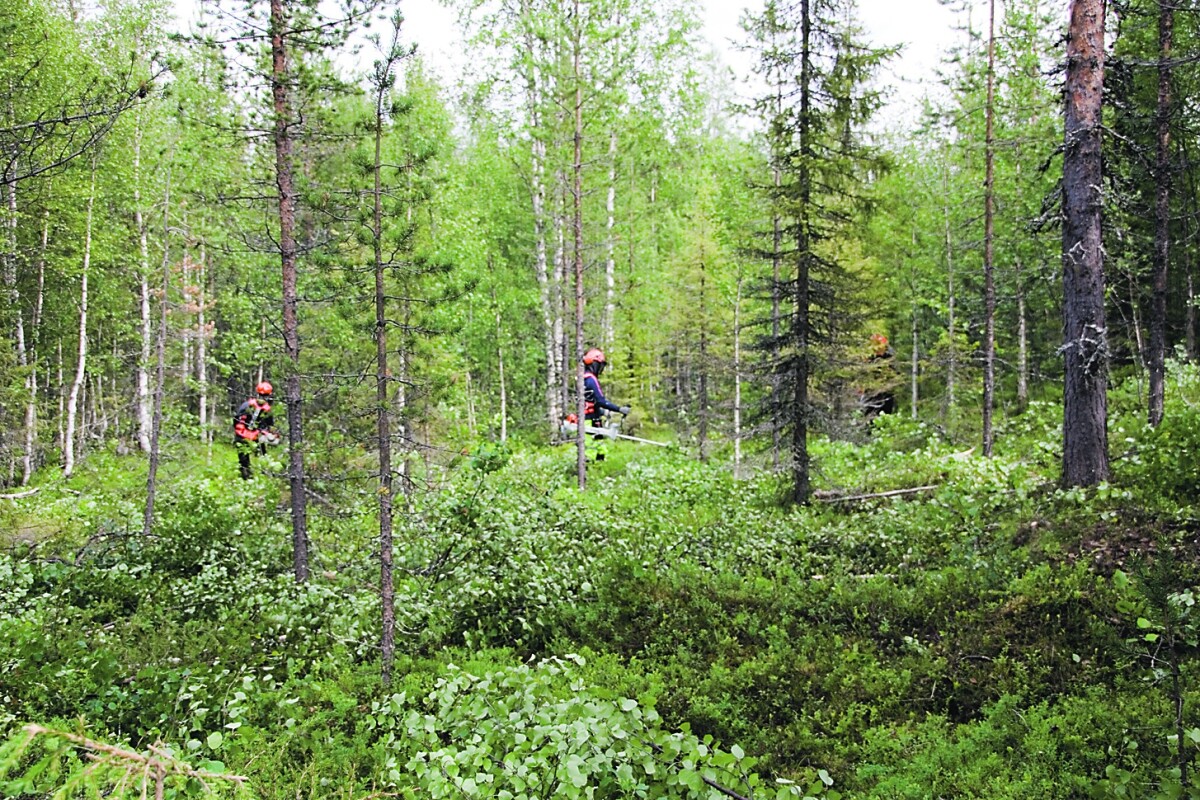 Uusi Huuhkajien Valmennus: Toiveet Ja Tavoitteet MM-Karsinnoissa Uusi Huuhkajien Valmennus: Toiveet Ja Tavoitteet MM-Karsinnoissa