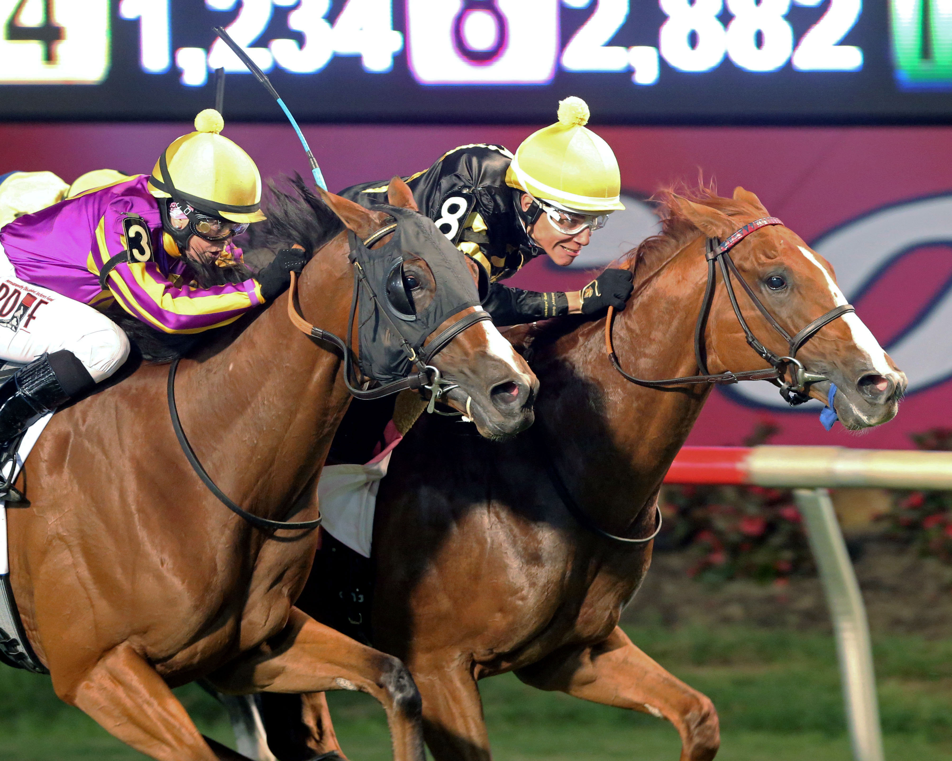 Virginia Derby: Stone's Big Announcement For Colonial Downs Race Meet Virginia Derby: Stone's Big Announcement For Colonial Downs Race Meet