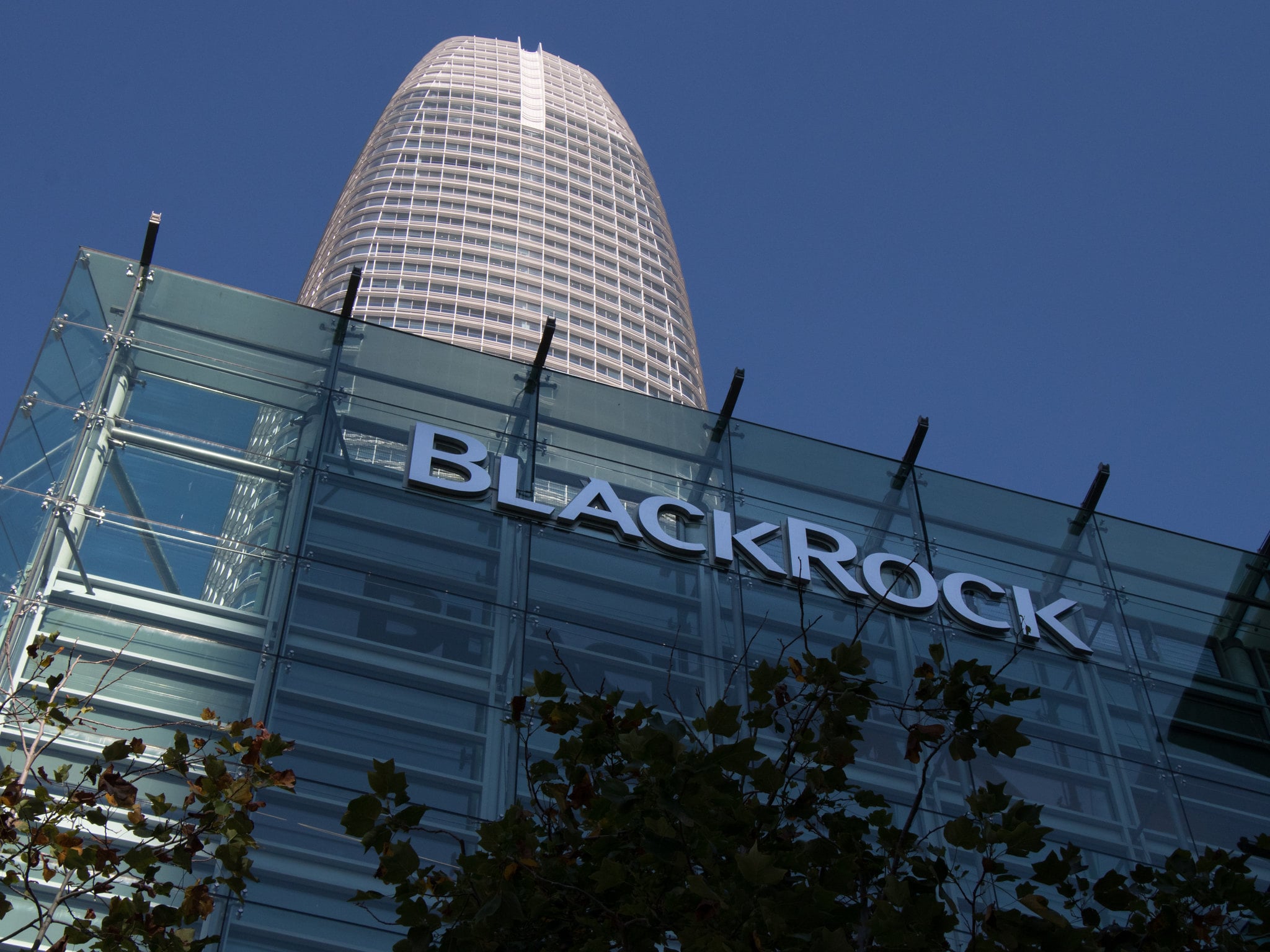 Wall Street Predicts 110% Surge: Is This BlackRock ETF The Next Big Thing? Wall Street Predicts 110% Surge: Is This BlackRock ETF The Next Big Thing?