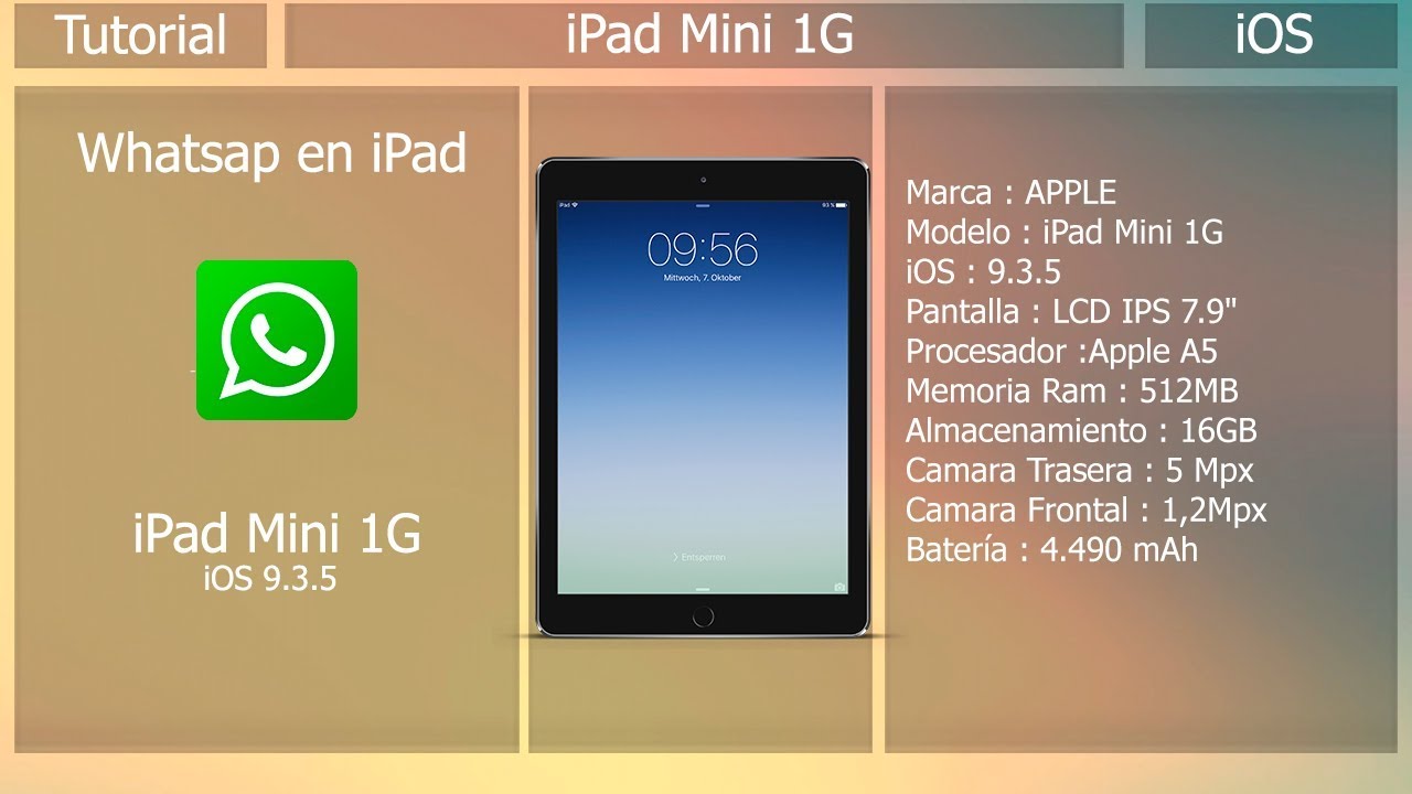 WhatsApp On IPad: 15 Years In The Making WhatsApp On IPad: 15 Years In The Making