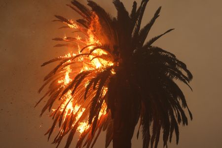 Wildfire Betting Markets: Analyzing The Los Angeles Situation Wildfire Betting Markets: Analyzing The Los Angeles Situation