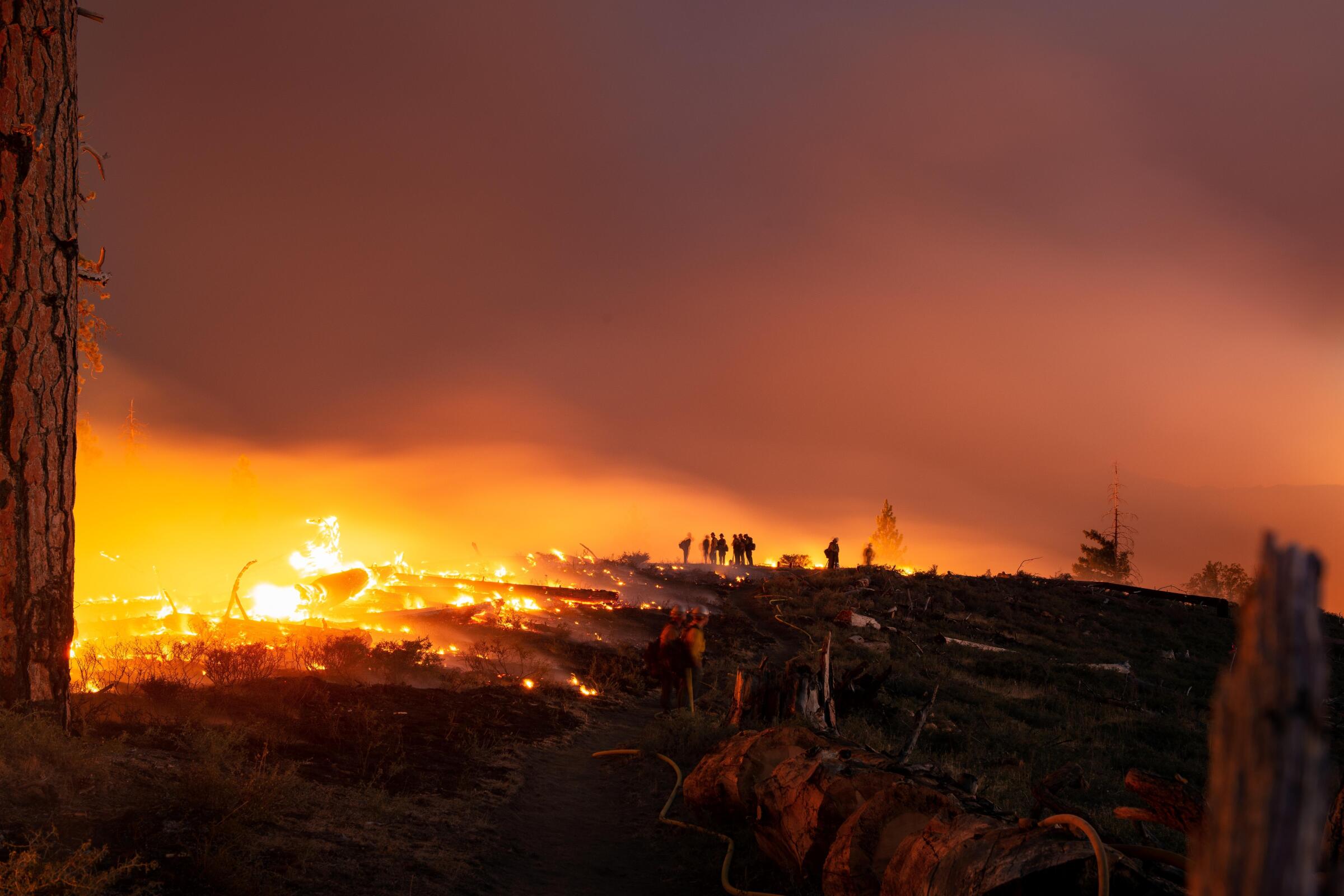 Wildfire Wagers:  Analyzing The Implications Of Betting On The LA Fires