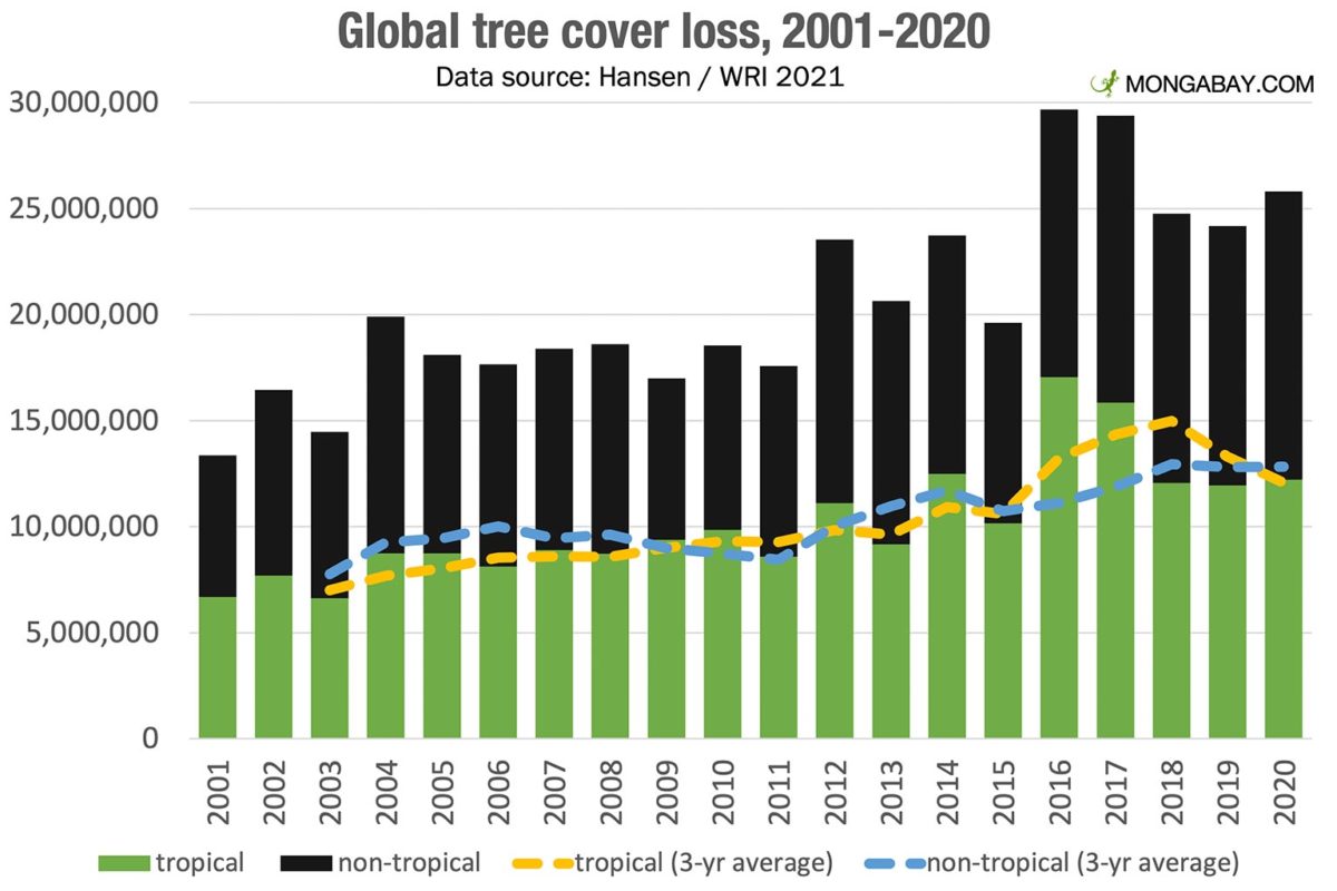 Wildfires Drive Record Global Forest Loss: A Critical Analysis Wildfires Drive Record Global Forest Loss: A Critical Analysis