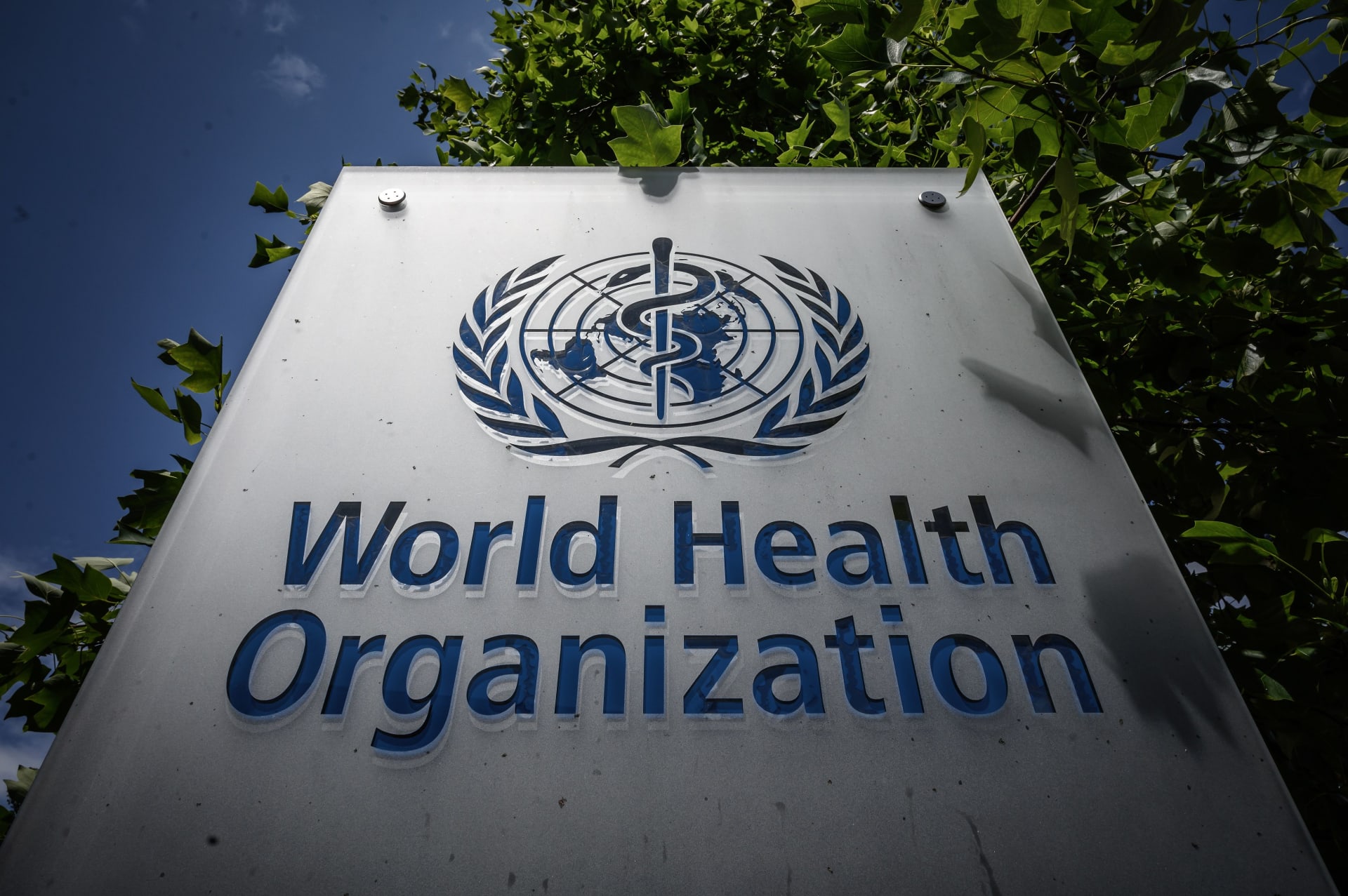 World Health Organization Links New COVID-19 Variant To Case Spike