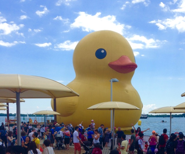World's Largest Rubber Duck To Visit Myrtle Beach For Water Safety Campaign World's Largest Rubber Duck To Visit Myrtle Beach For Water Safety Campaign