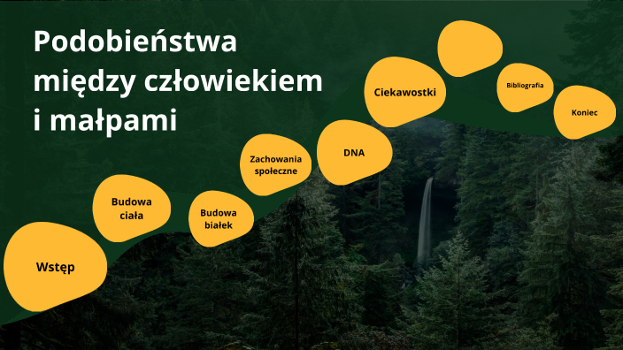 Wyjątkowe Wyróżnienia: Sakiewicz Komentuje Podobieństwa Między „Solidarnością” A „Republiką” Wyjątkowe Wyróżnienia: Sakiewicz Komentuje Podobieństwa Między „Solidarnością” A „Republiką”