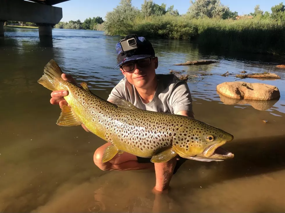 Wyoming Legislature: Game And Fish To Manage Otters Again Wyoming Legislature: Game And Fish To Manage Otters Again
