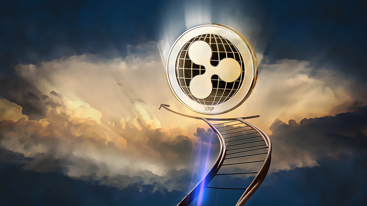 XRP ETF Approval: Analyzing The Potential For $800 Million In Initial Investment XRP ETF Approval: Analyzing The Potential For $800 Million In Initial Investment