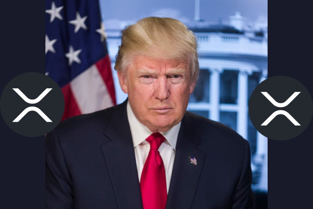 XRP Price Surge: Is President Trump The Reason? XRP Price Surge: Is President Trump The Reason?