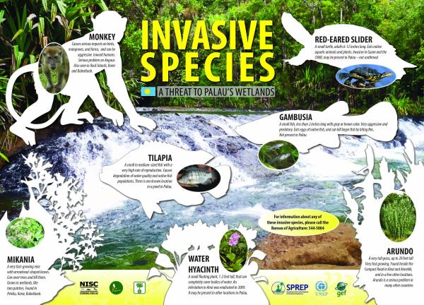 Zebra Mussel Problem: Casper Resident's Discovery Highlights Invasive Species Threat Zebra Mussel Problem: Casper Resident's Discovery Highlights Invasive Species Threat