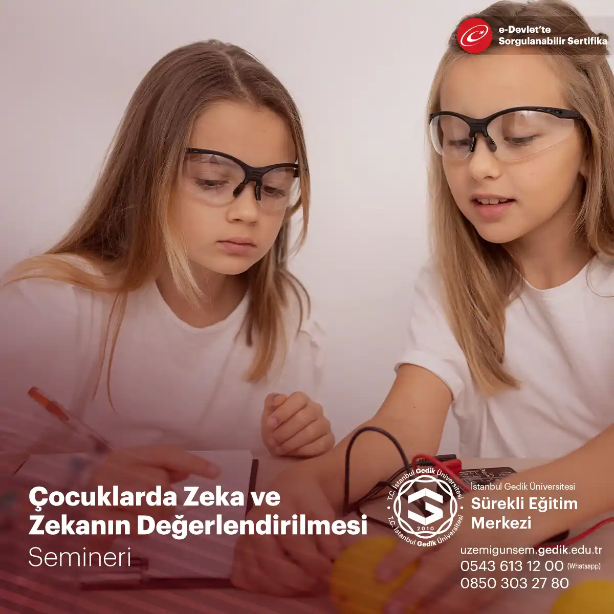 Zekanın Sırrı: Burçlar Ve Entelektüel Yetenekler Zekanın Sırrı: Burçlar Ve Entelektüel Yetenekler