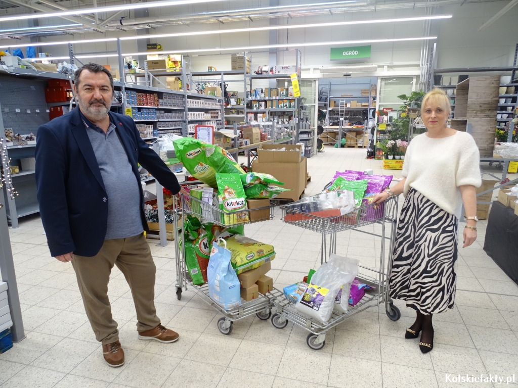 Zwierzęta Bezdomne: Pomóż 4 Kwietnia, W Międzynarodowym Dniu Zwierząt Bezdomnych Zwierzęta Bezdomne: Pomóż 4 Kwietnia, W Międzynarodowym Dniu Zwierząt Bezdomnych